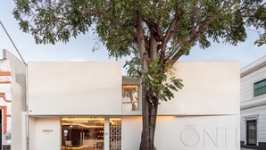Un edificio moderno con un árbol grande en primer plano, una tienda con el nombre