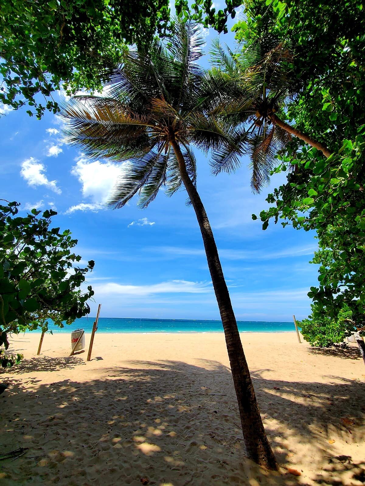 On the beach, sun loungers