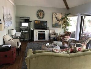 Televisión, chimenea y reproductor de DVD 