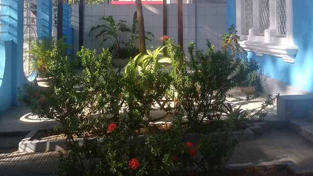 A blue building with a balcony, a pergola, and a garden with red flowers. - Prad Residence (Recife)