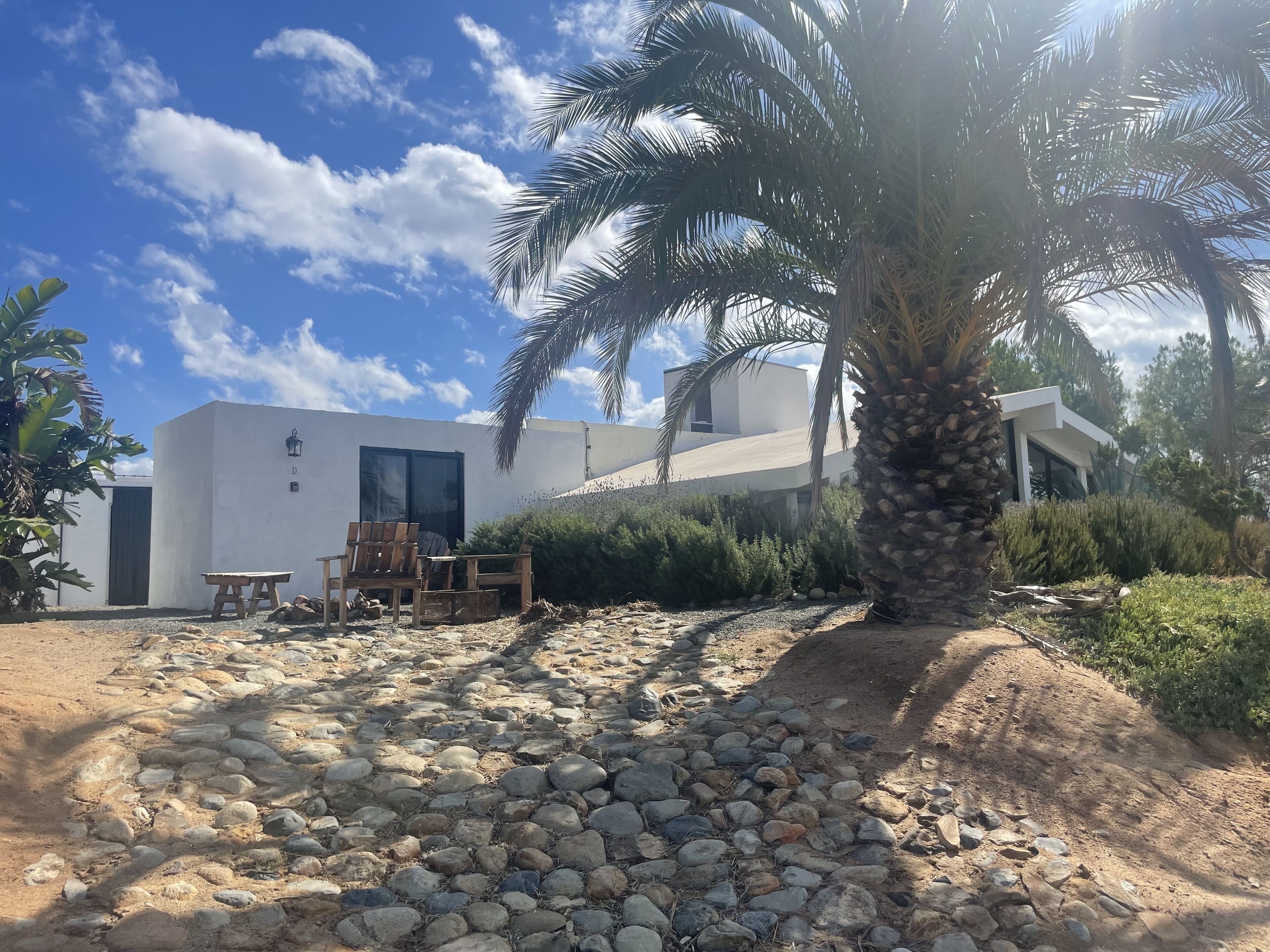 Un edificio moderno con fachada blanca, un patio con muebles de madera y una palmera.