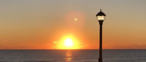 على الشاطئ، كراسي للتشمس