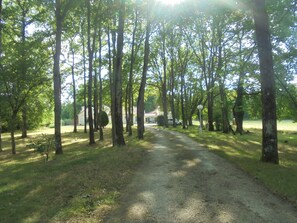 Property grounds