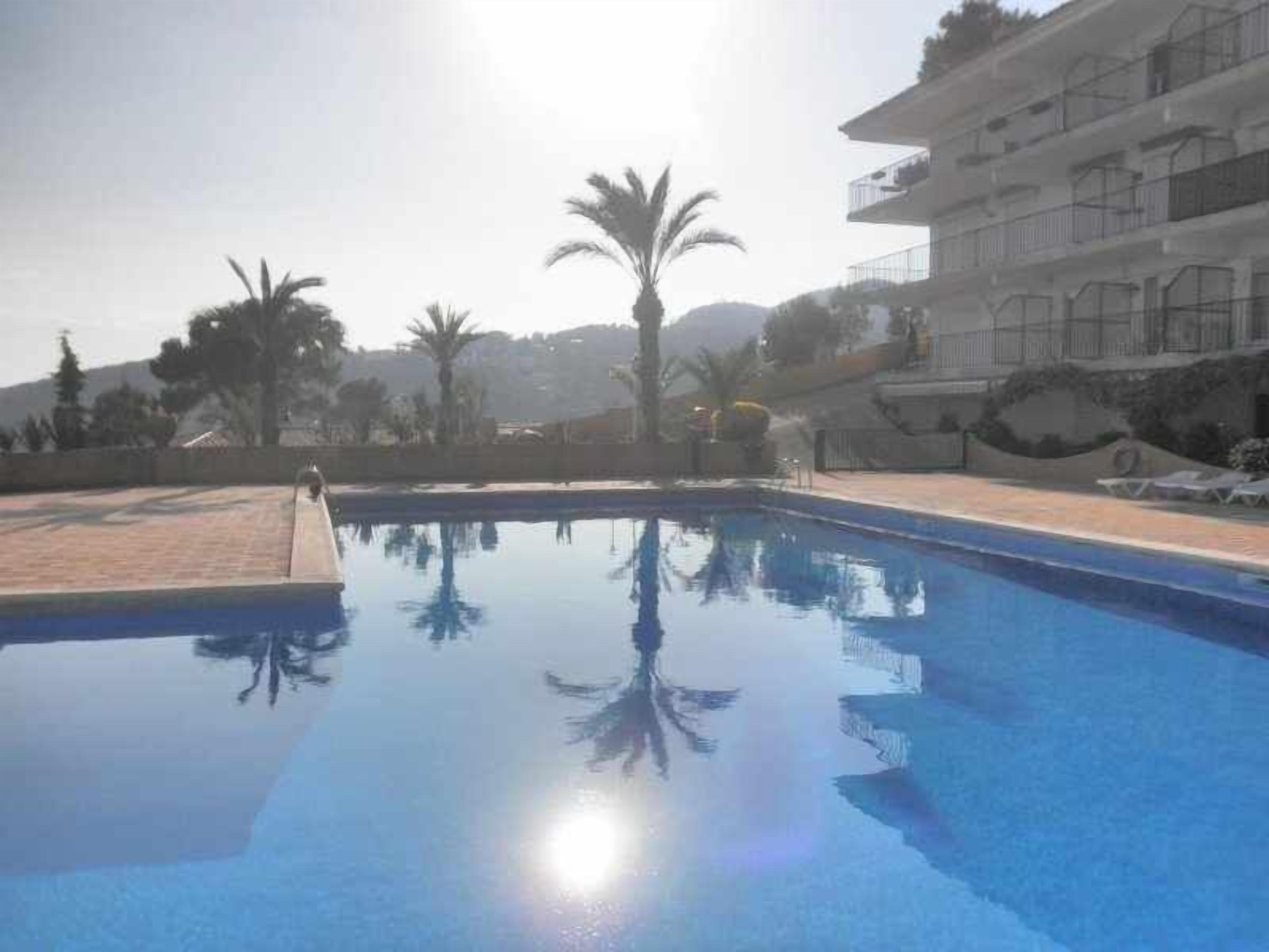 A swimming pool with clear water reflecting palm trees and a multi-story building in the background.
