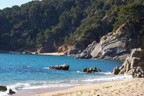 Plage à proximité