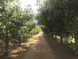 Áreas de la propiedad