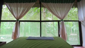 1 habitación 