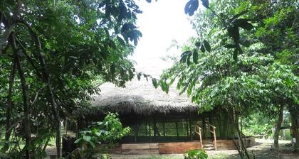 Centro Ayaymama Mystic