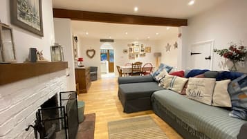 TV, fireplace, DVD player, books