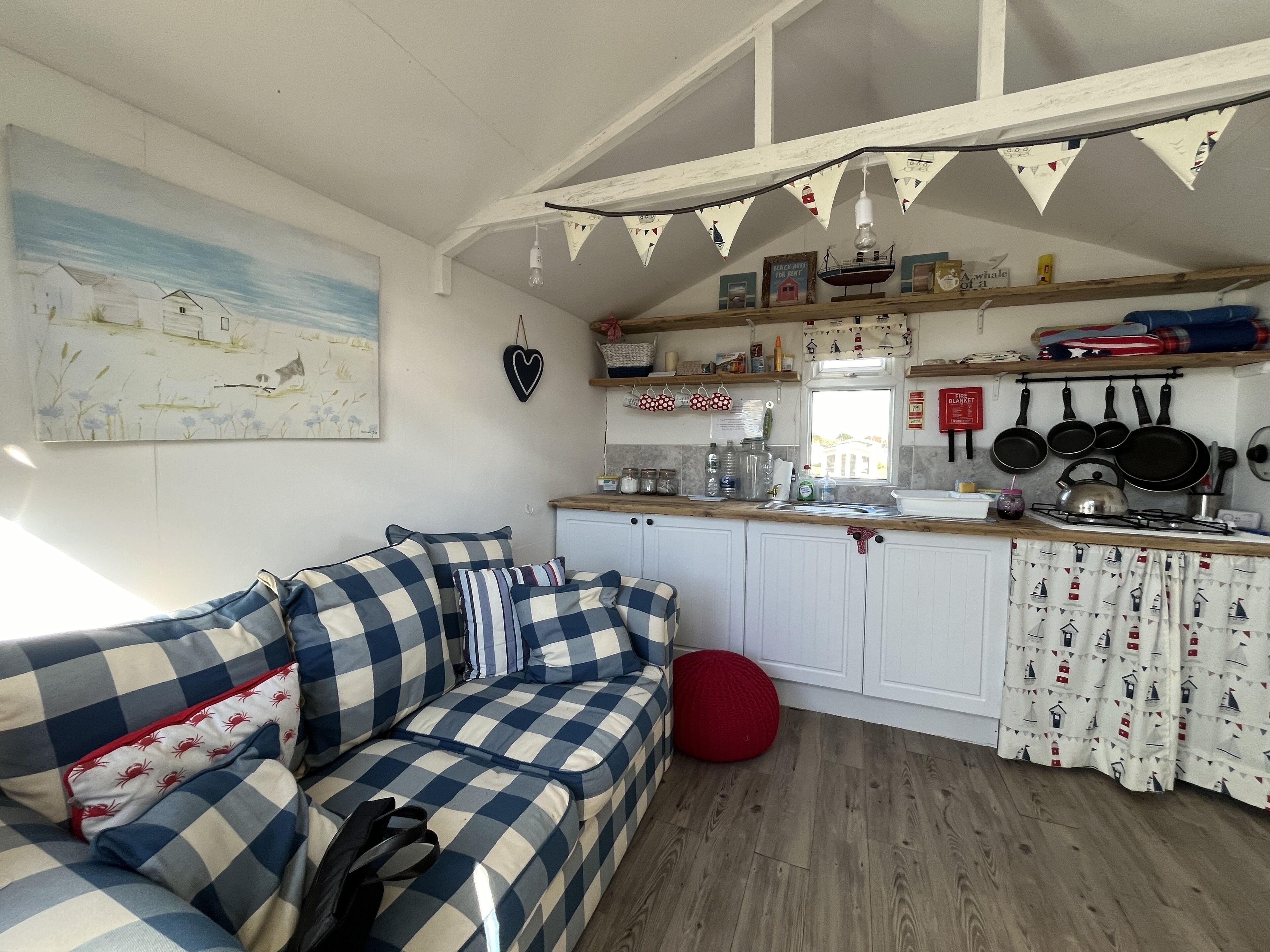 Televisión, chimenea, reproductor de DVD y libros 