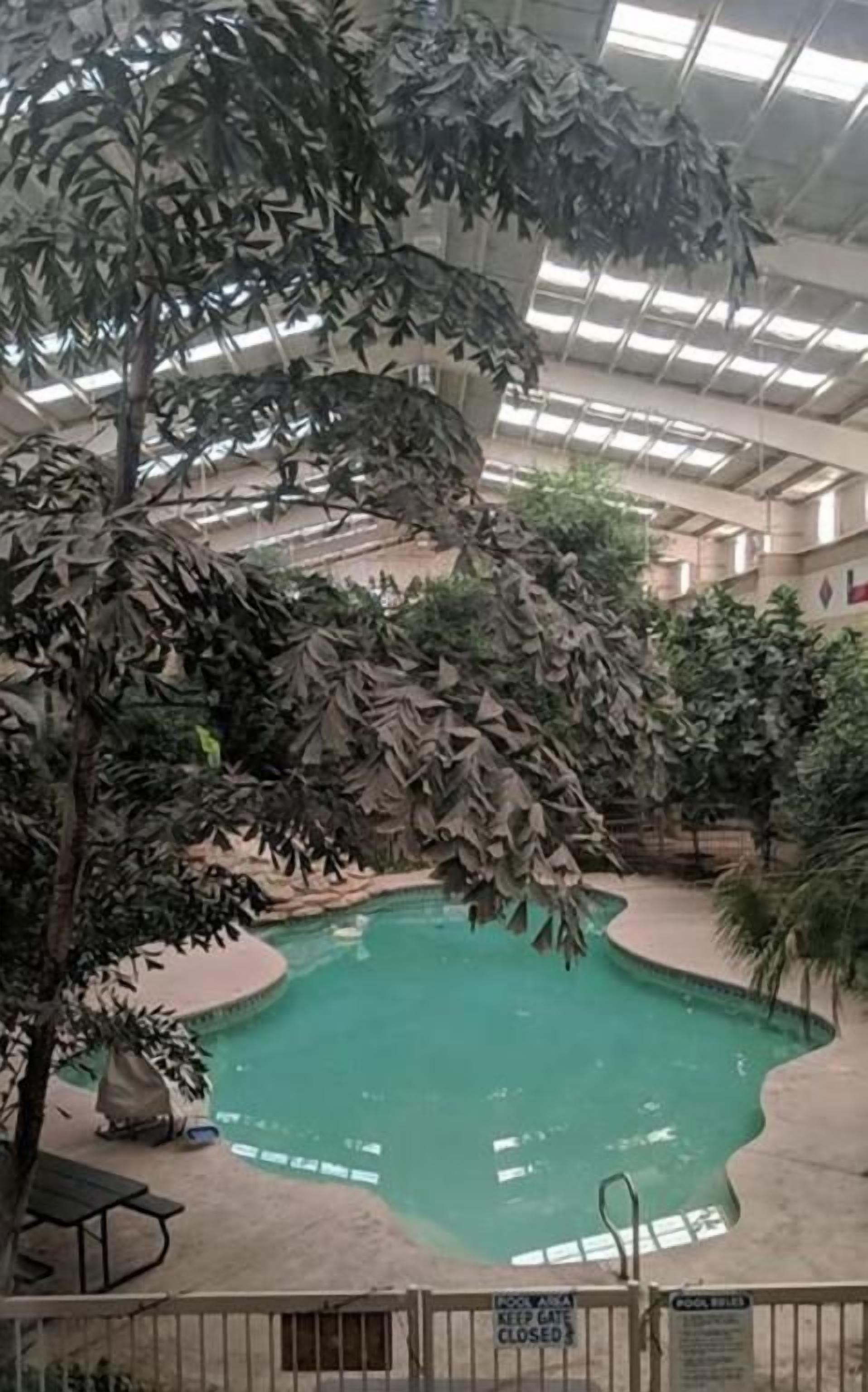 Una piscina interior con techo de cristal, rodeada de plantas y un área delimitada por una valla.