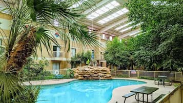 Indoor pool, pool loungers