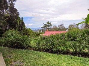 Vistas desde la habitación