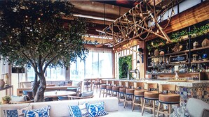 A spacious indoor area with a large tree, seating arrangements, and a bar area with shelves.