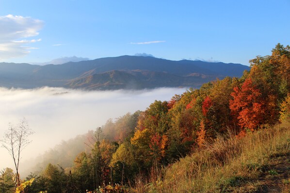 A mountainous landscape with autumn foliage and a valley shrouded in mist.