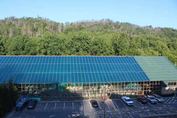 A large building with a green roof and a parking lot with several cars.