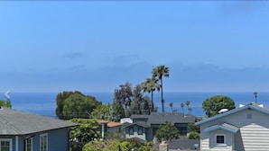 A residential area with houses and palm trees, overlooking a body of water.