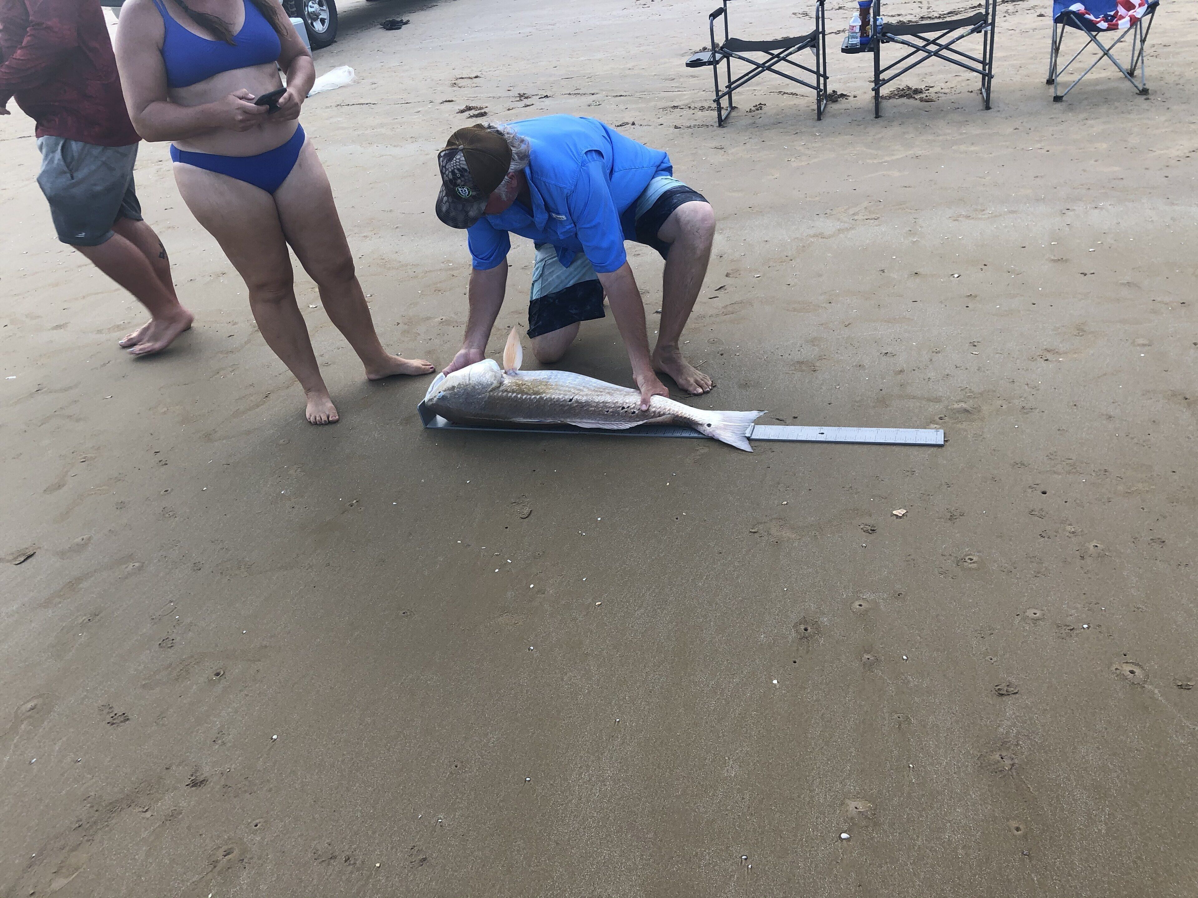 Iemand meet een grote vis op een zanderig strand.