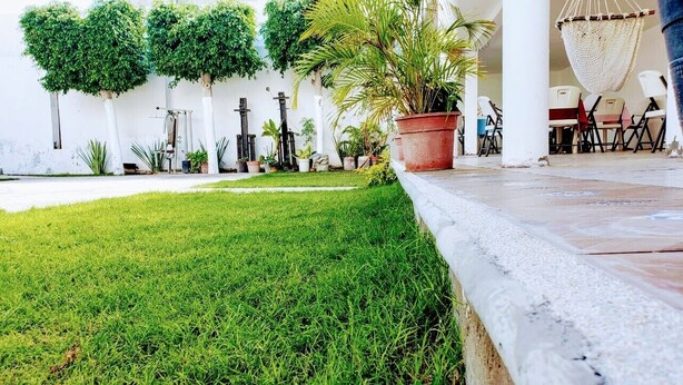 Garden - Hotel AR (Zinacatepec)