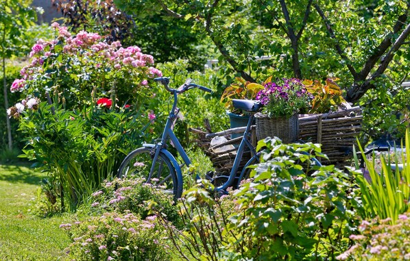 Un jardín con bicicleta, una cesta de mimbre y diversas plantas.