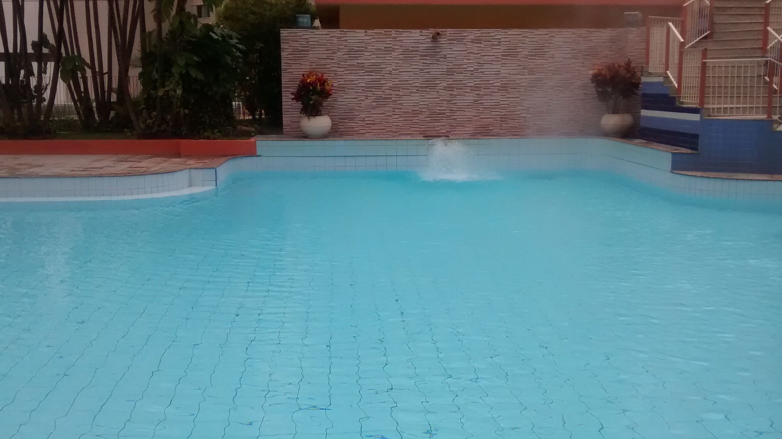 Ein Schwimmbecken mit gefliestem Boden, umgeben von einer niedrigen Mauer mit Ziegelmuster und Topfpflanzen.
