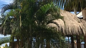 Exterior - Hotel Ayu (Negril)