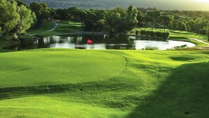 Ein Golfplatz mit Teich, Bäumen und Fahne.