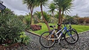 Una bicicleta estacionada en un camino de grava, con abundante vegetación y palmeras al fondo.