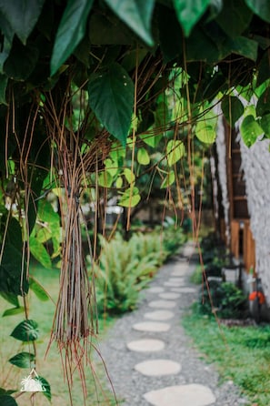 Property grounds - Triangle Palms Siargao (General Luna)