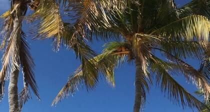 REDUCED PRICING! Inch Beach membership, private pool, beach views from porch!