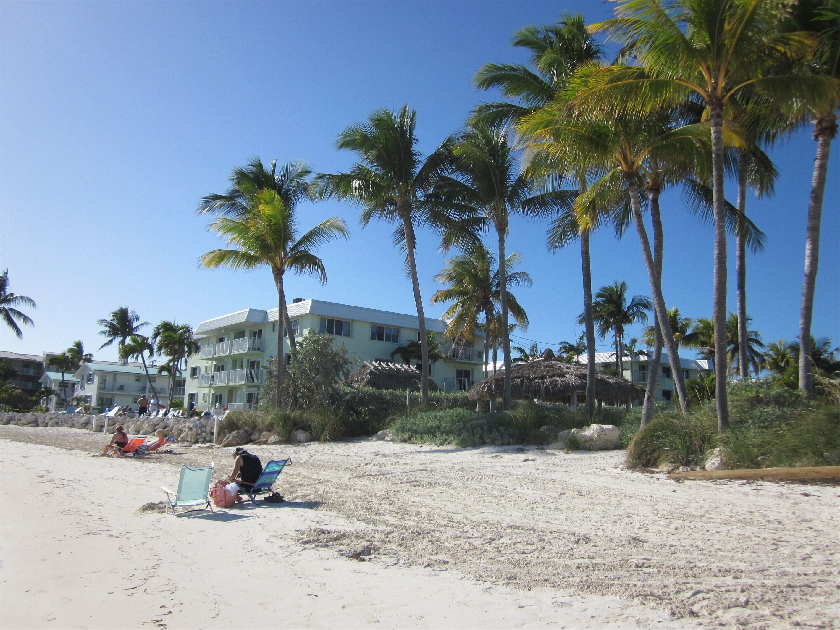 A beach with palm trees, a building with balconies, and a thatched-roof structure.