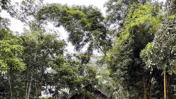 Pool - Kapievi Ecovillage (Tambopata)