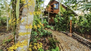 Garden - Kapievi Ecovillage (Tambopata)