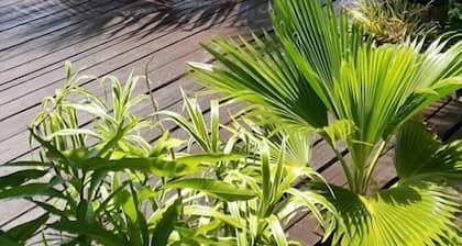 Pension Chez Glorine