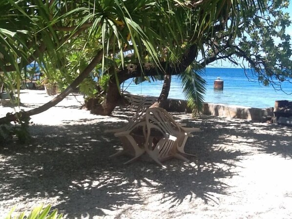 A beach area with a concrete bench under a tree, a palm tree, and a view of the sea. - Pension Chez Glorine (Rangiroa)