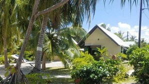 A house with a gravel driveway, surrounded by palm trees and greenery. - Pension Chez Glorine (Rangiroa)