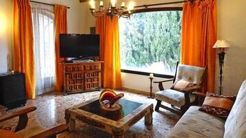 Una Smart TV, una chimenea