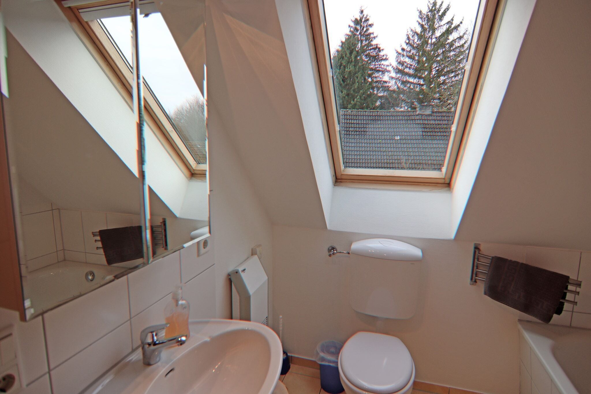 A bathroom with a skylight, a toilet, a sink, and a mirror.
