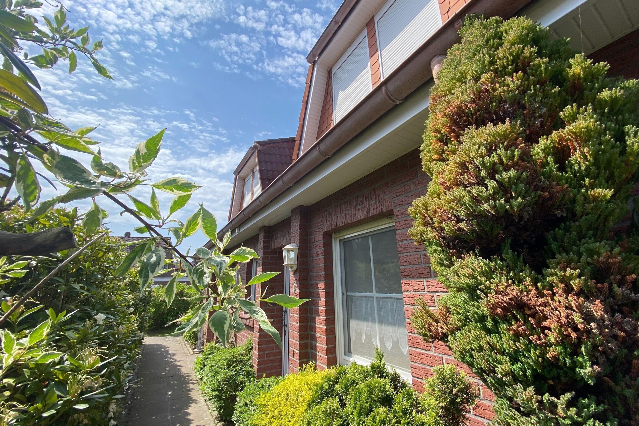 A brick house with a window, a pathway, and surrounding greenery.