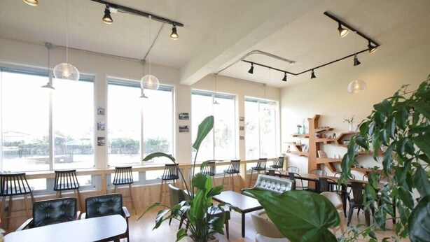 A spacious cafe with large windows, wooden tables, and chairs, and a variety of plants. - Jeju Eoeumbungyo 1963 Guesthouse (Jeju City)