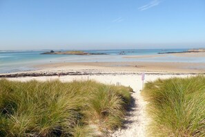 Ein Strand mit einem sandigen Pfad, der zum Wasser führt, umgeben von Gras.