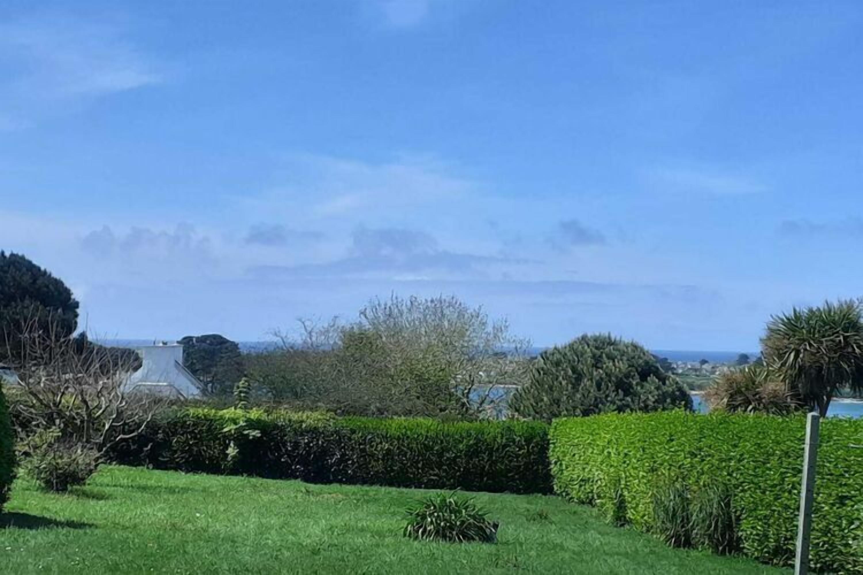 Ein üppiger grüner Garten unter blauem Himmel.