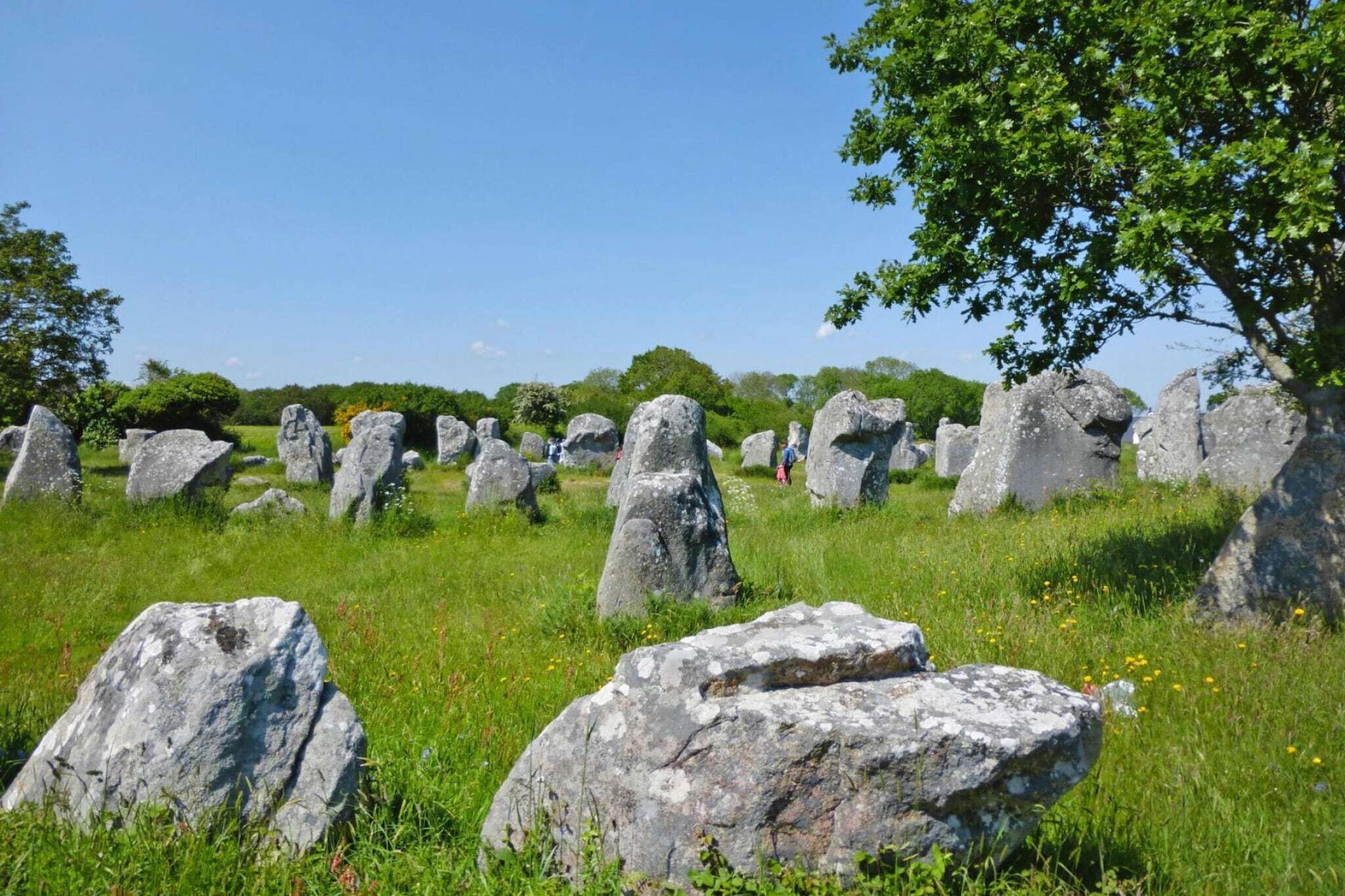 A field of standing stones with a clear sky.