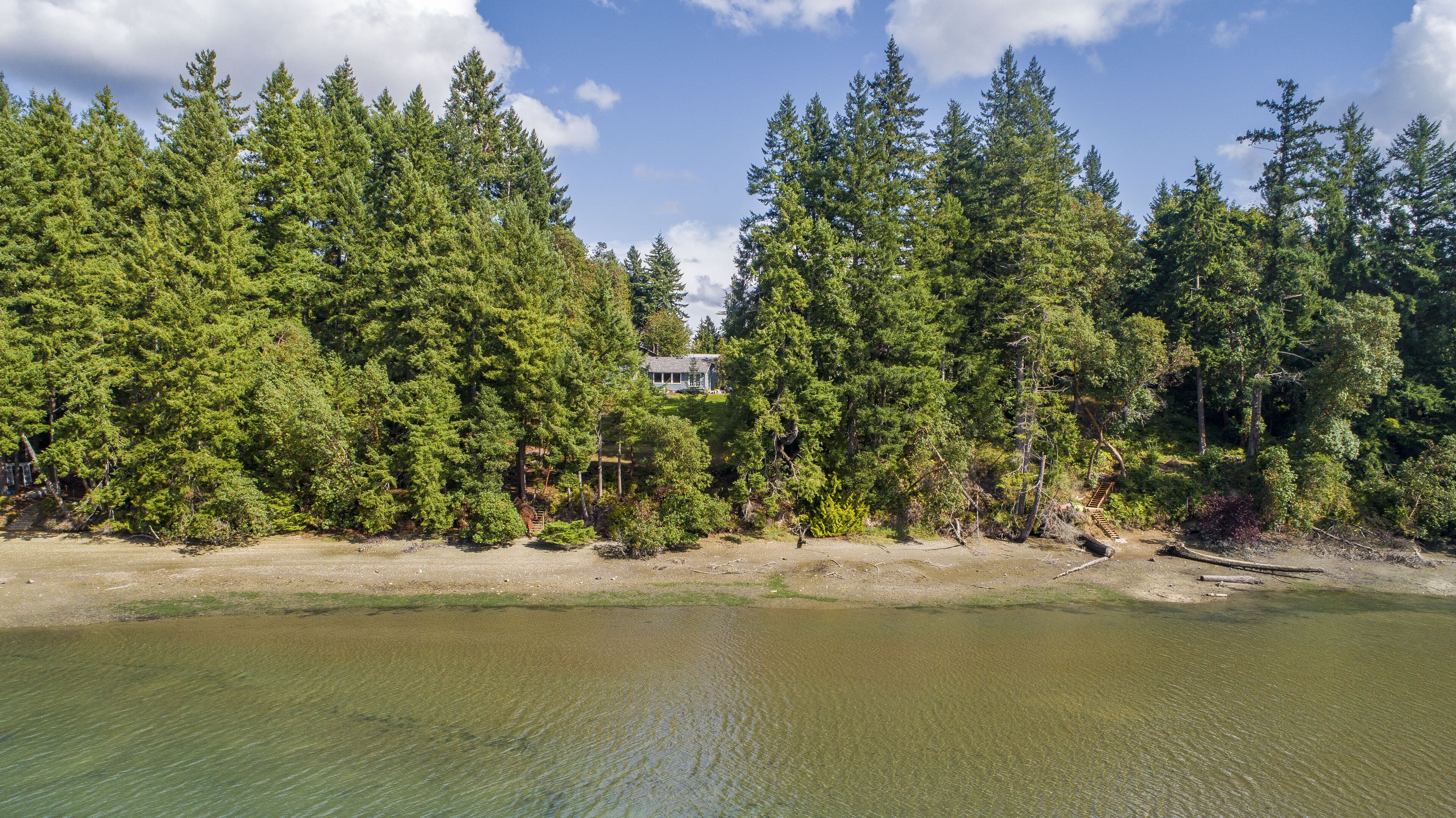 A lakeside property with dense forest, a visible house, and a clear view of the water.