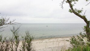 Una playa con orilla arenosa, un árbol en primer plano y un mar tranquilo al fondo.
