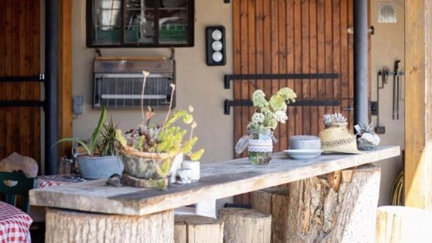 A rustic outdoor seating area with wooden benches and a table displaying potted plants.
