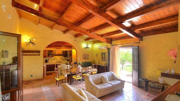 A spacious living room with a high wooden ceiling, a dining area, and a kitchen visible through an archway.