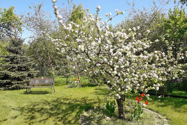Overnattingsstedets uteområder