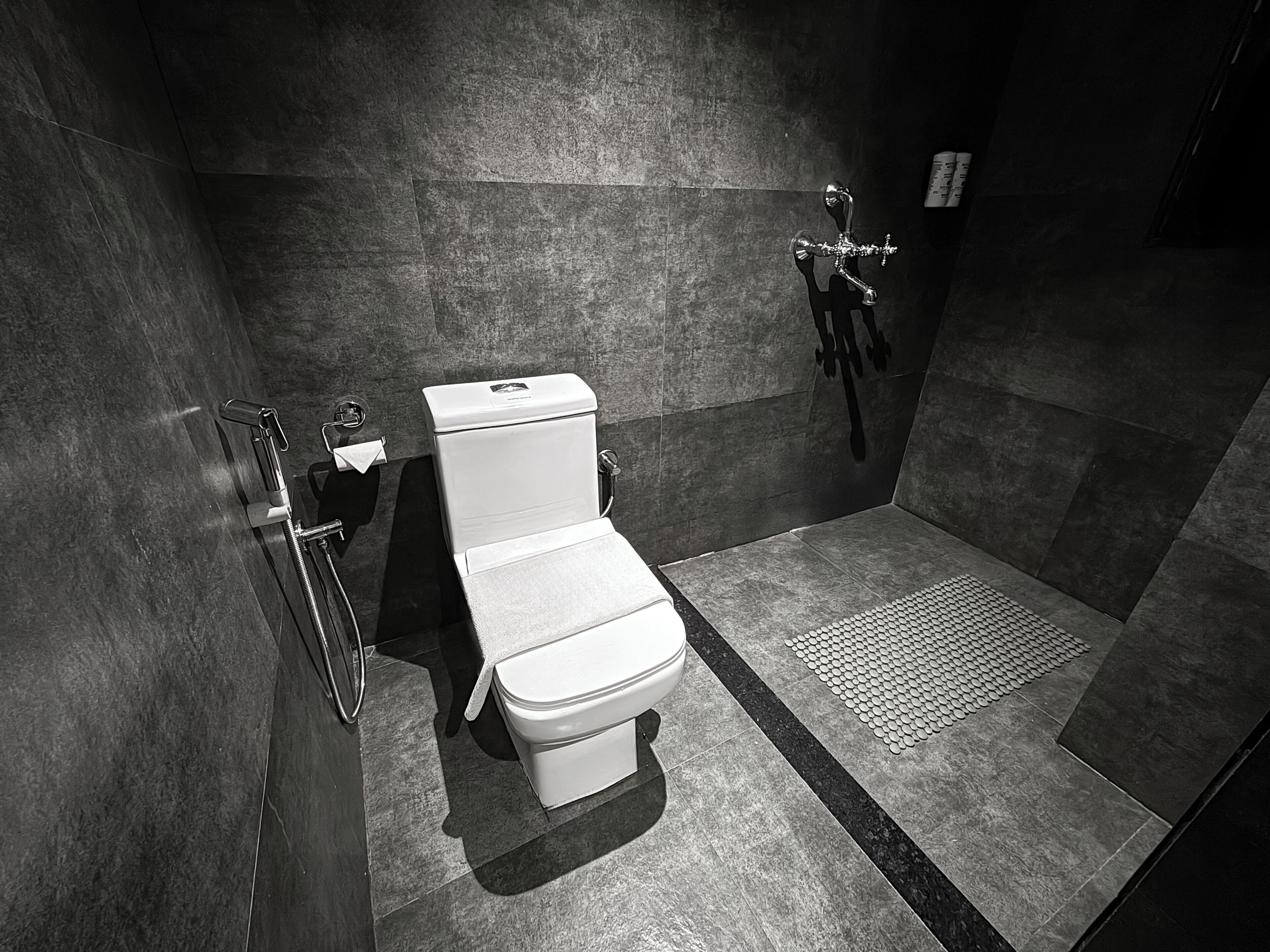 Un baño moderno con inodoro, ducha y barra de apoyo.