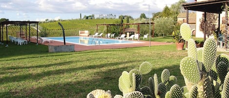 A pool area with lounge chairs and a pergola, surrounded by cacti and a grassy landscape.